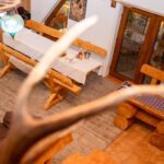 casutele_din_padure_miere_buzau (101)