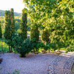 casutele_din_padure_miere_buzau (97)
